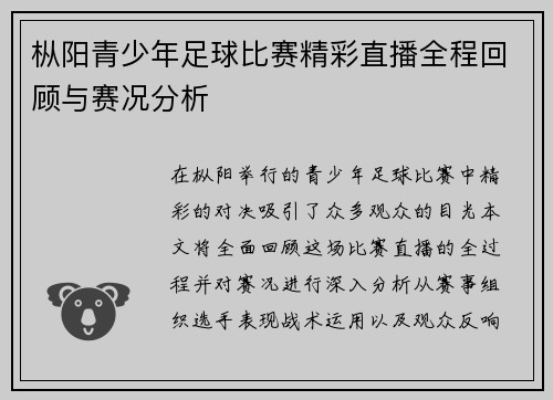 枞阳青少年足球比赛精彩直播全程回顾与赛况分析